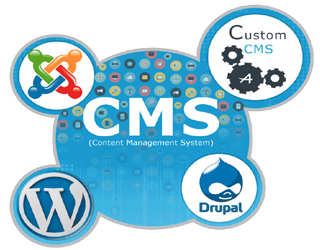 CMS development